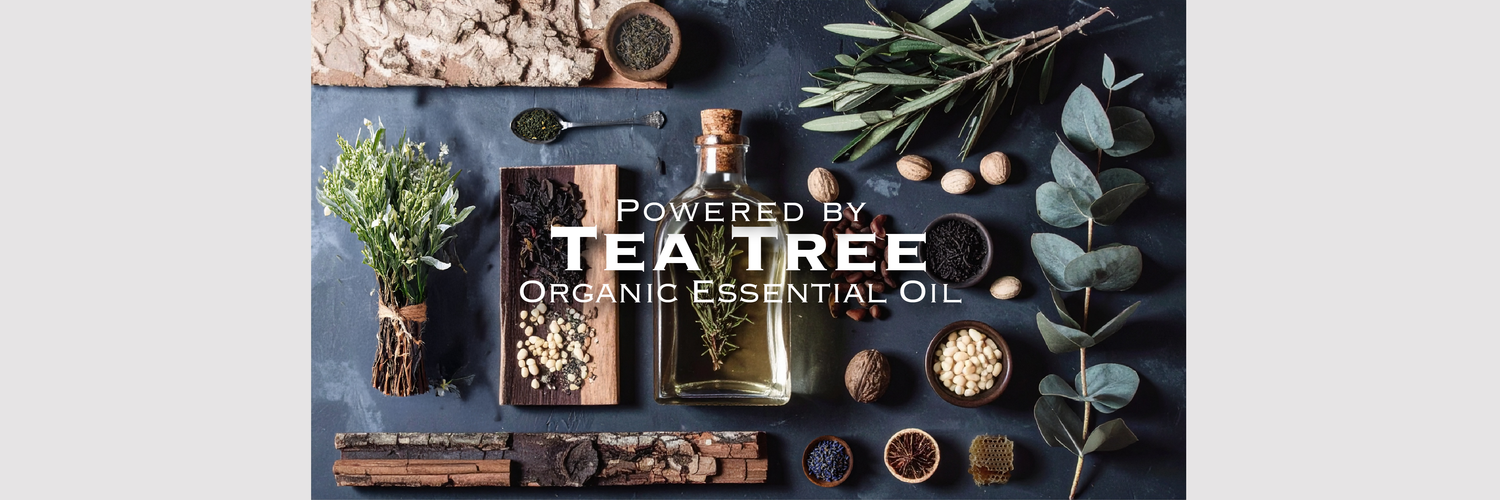 Purifying Tea Tree