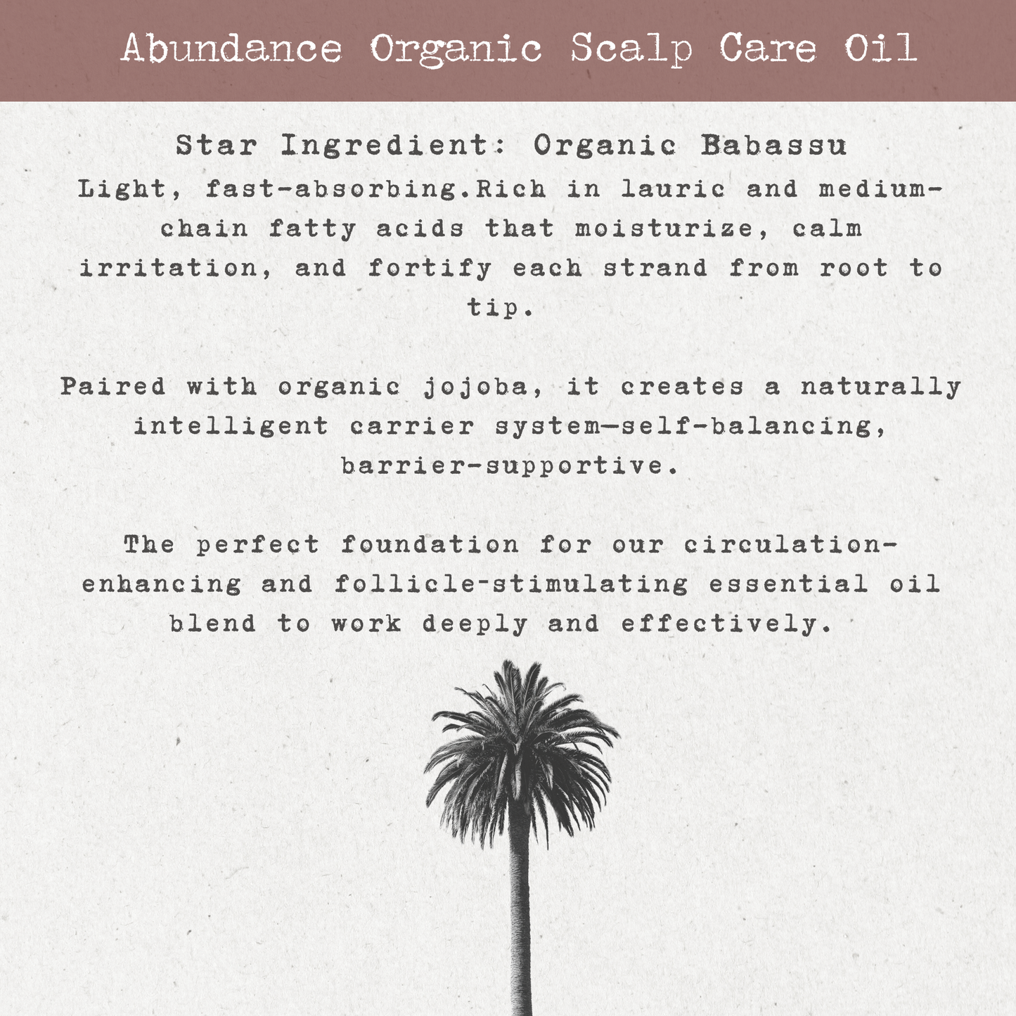 ABUNDANCE Organic Haircare Set