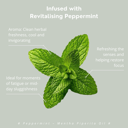 Hair Hydration Mist (Revitalising Mint)｜草本補濕噴霧（提神薄荷）