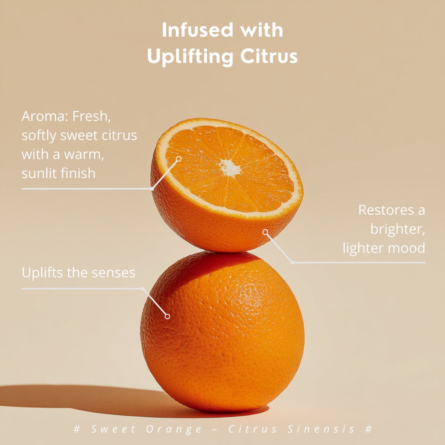 Hair Hydration Mist (Uplifting Citrus)｜草本補濕噴霧（快樂柑橘）