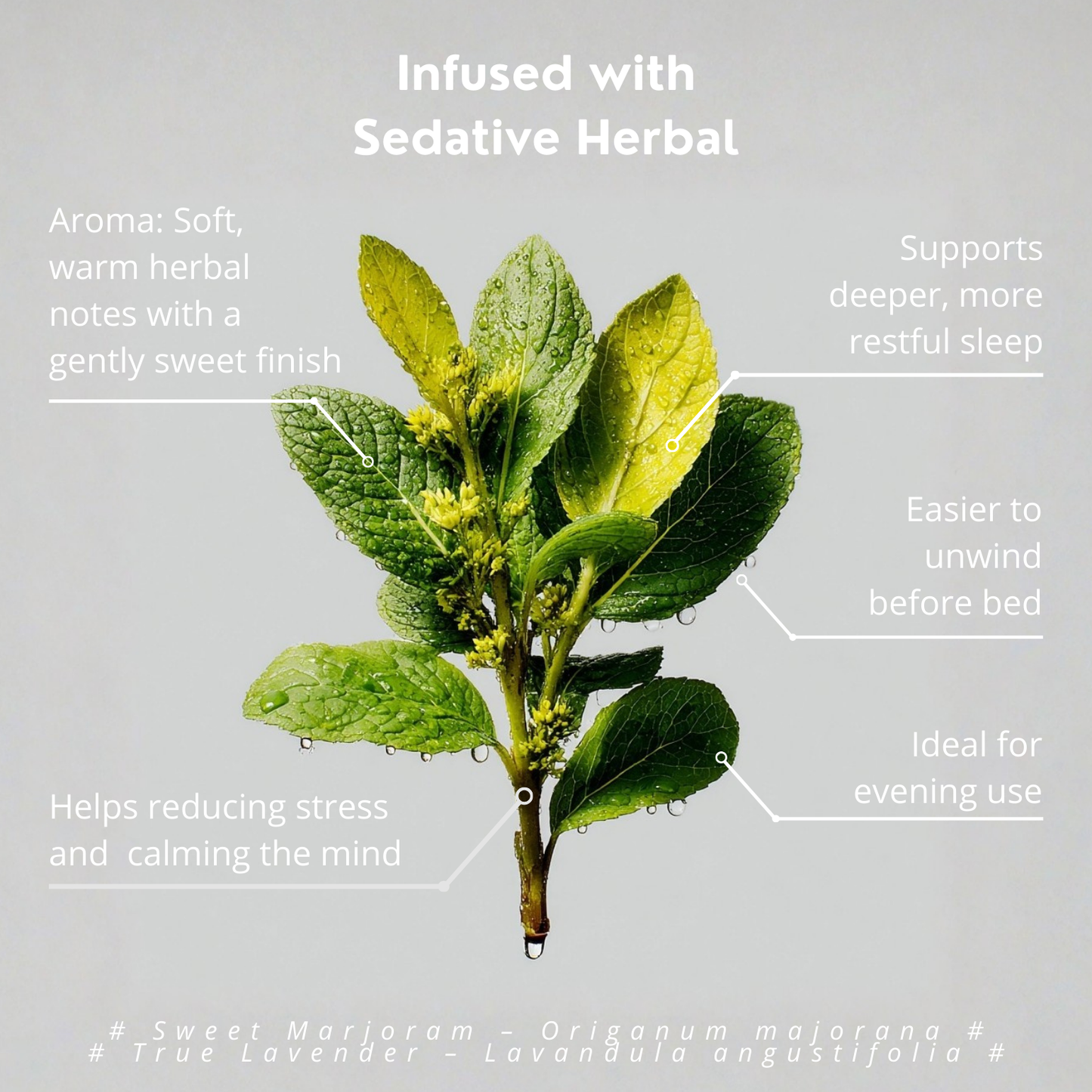 Hair Hydration Mist (Sedative Herbal)｜草本補濕噴霧（安神草本）